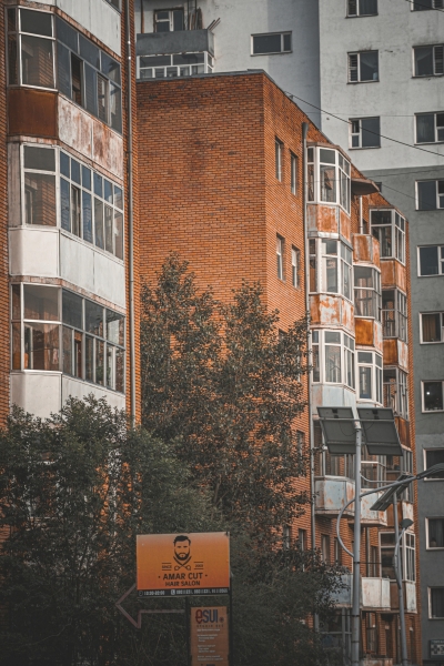 pexels-phaeng-_yo-1503481-17440976